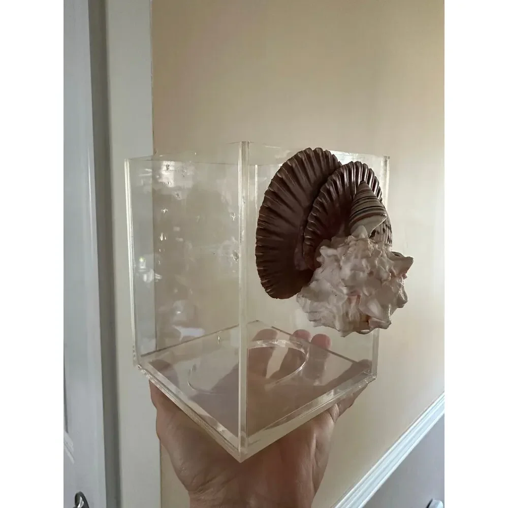 vinage clear acrylic